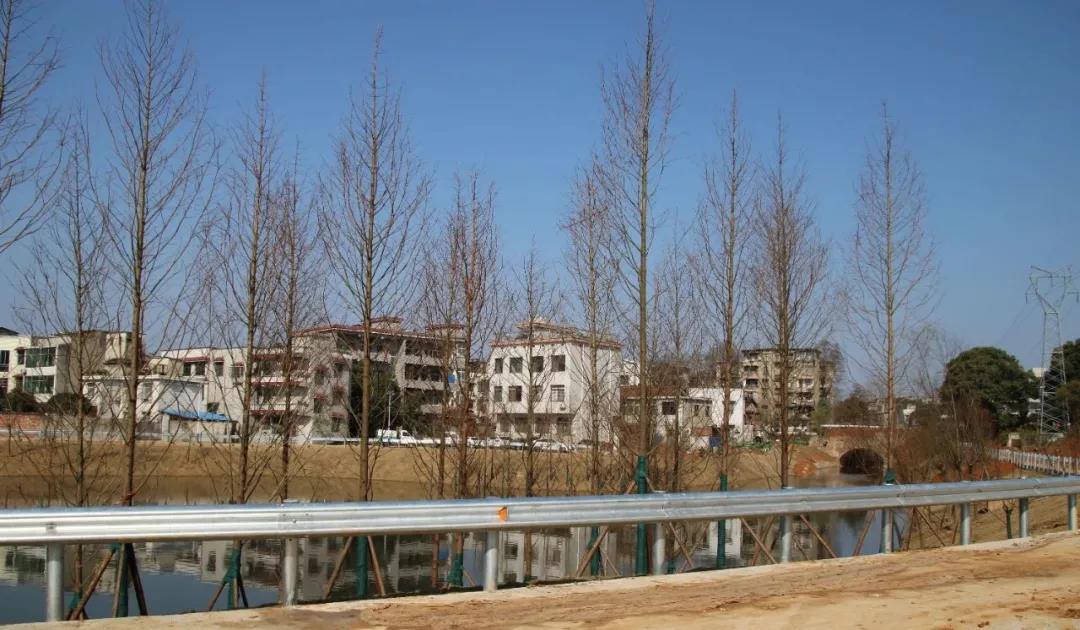 微信图片_20210106103404.jpg